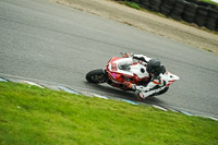 enduro-digital-images;event-digital-images;eventdigitalimages;lydden-hill;lydden-no-limits-trackday;lydden-photographs;lydden-trackday-photographs;no-limits-trackdays;peter-wileman-photography;racing-digital-images;trackday-digital-images;trackday-photos